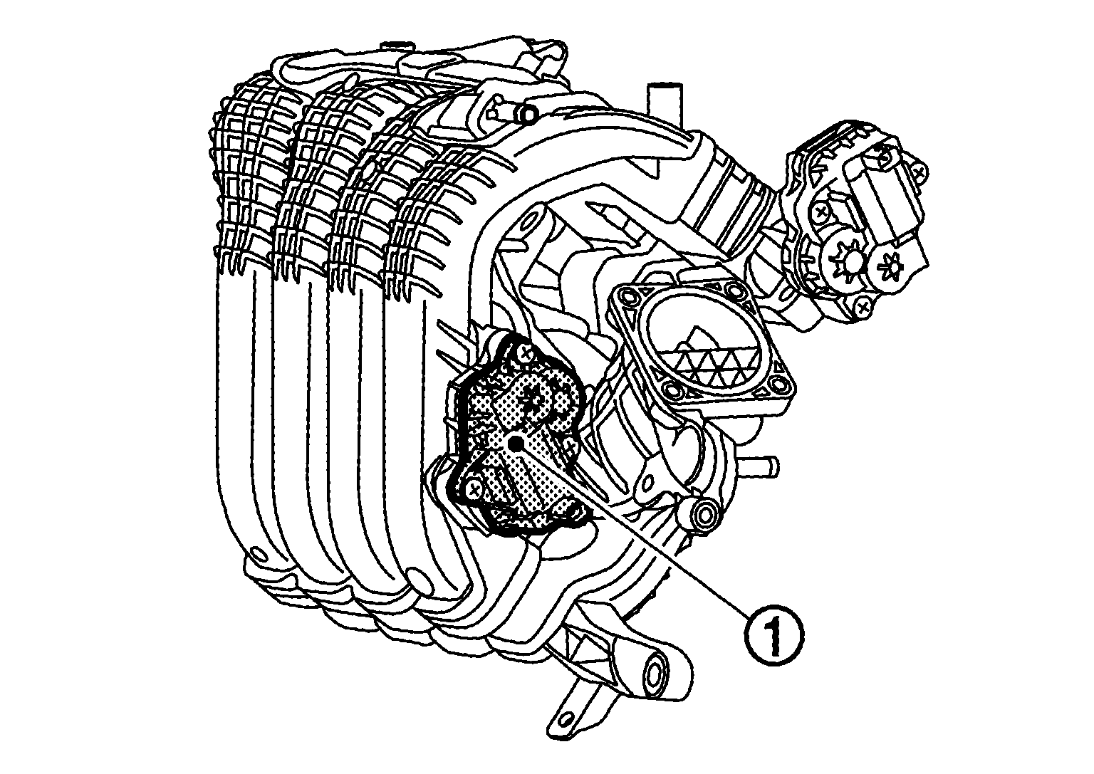 GNSDB34033